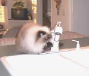 casey catching water.jpg